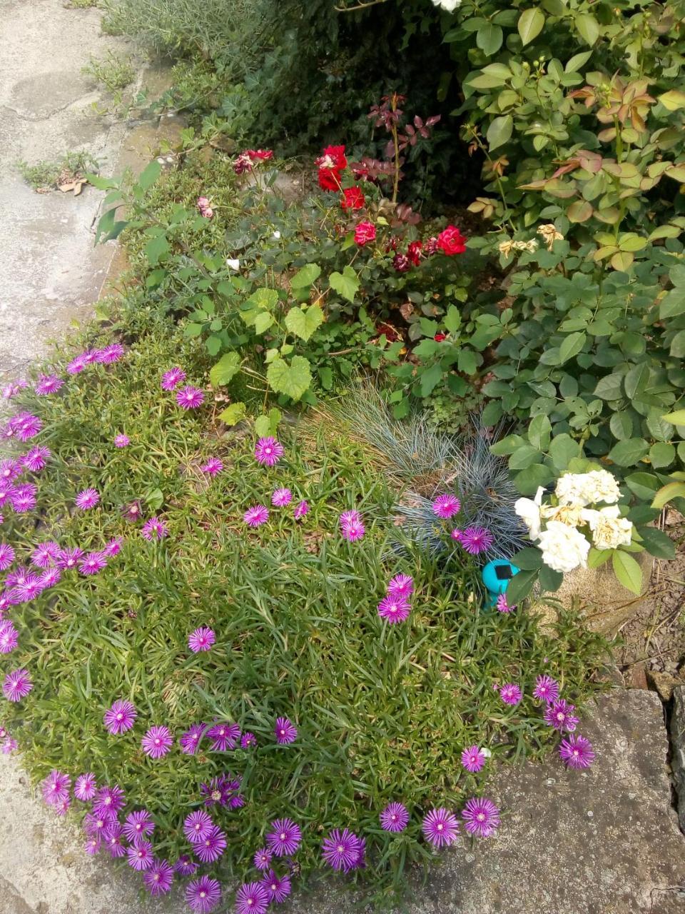 Beograd - Apartman "Gardos" Bagian luar foto